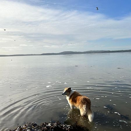 Tobernaglough Wexford Pet Friendly Country B&B Ramsgrange Extérieur photo