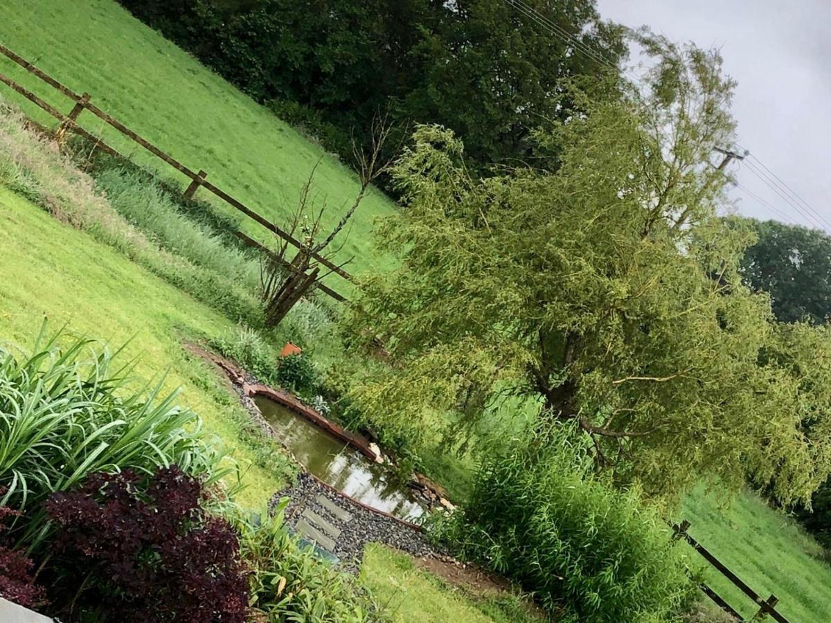Tobernaglough Wexford Pet Friendly Country B&B Ramsgrange Extérieur photo