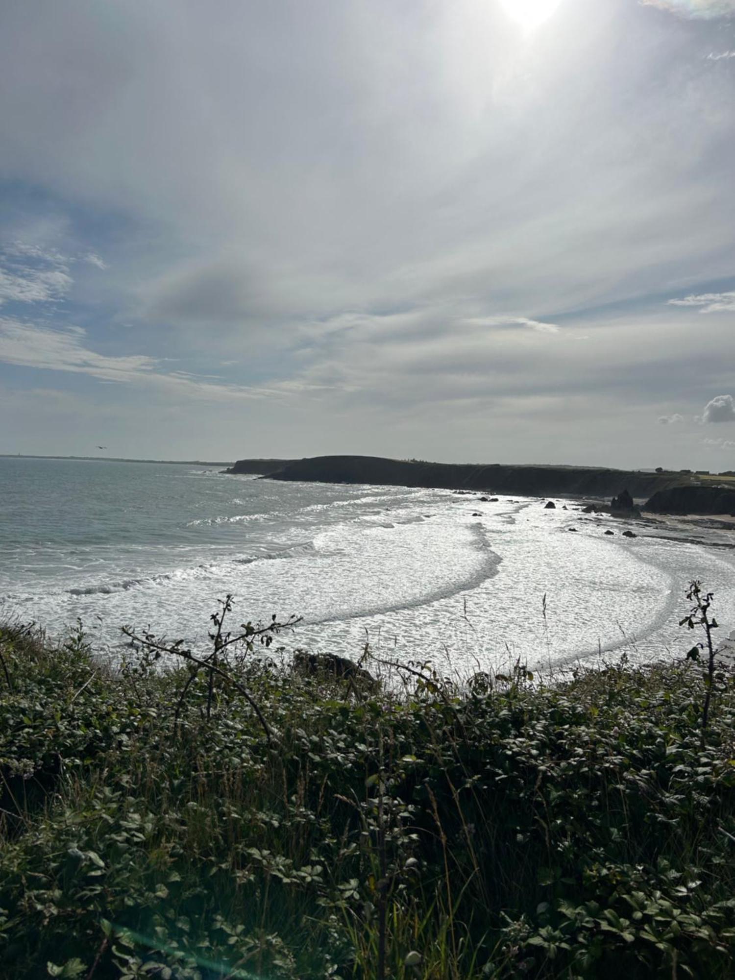 Tobernaglough Wexford Pet Friendly Country B&B Ramsgrange Extérieur photo