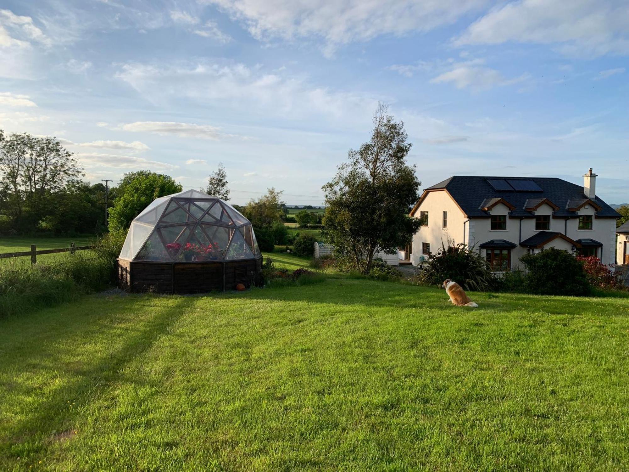 Tobernaglough Wexford Pet Friendly Country B&B Ramsgrange Extérieur photo