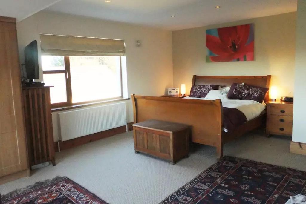 Tobernaglough Wexford Pet Friendly Country B&B Ramsgrange Extérieur photo