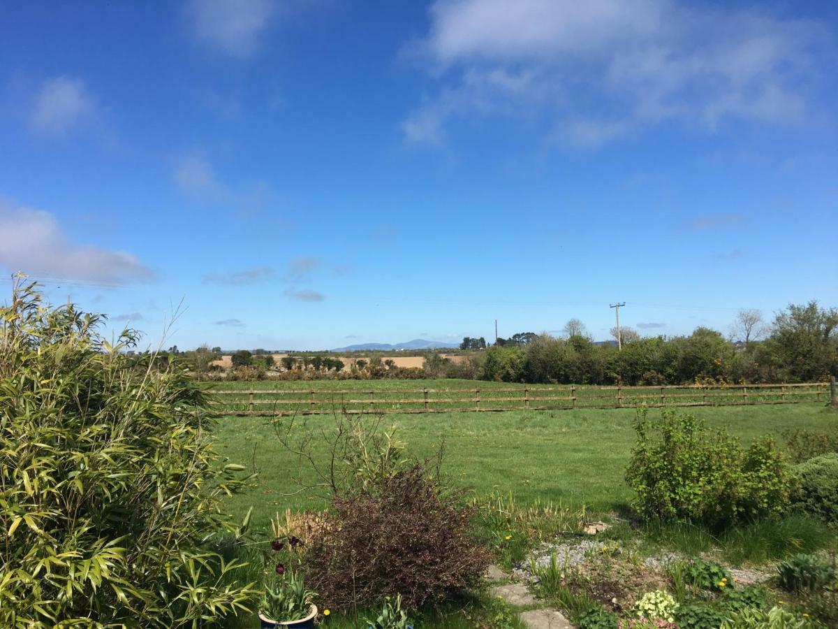 Tobernaglough Wexford Pet Friendly Country B&B Ramsgrange Extérieur photo