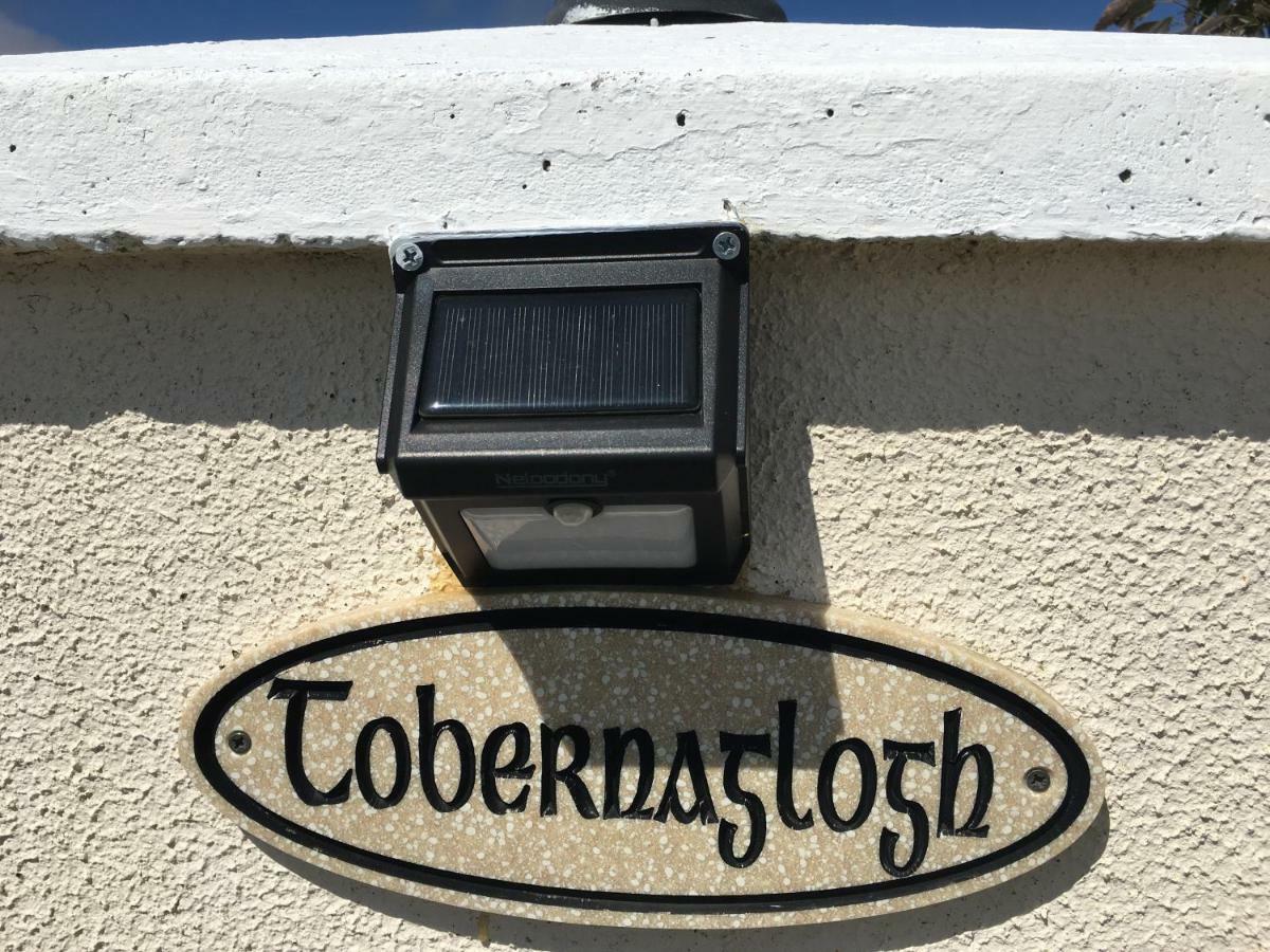 Tobernaglough Wexford Pet Friendly Country B&B Ramsgrange Extérieur photo