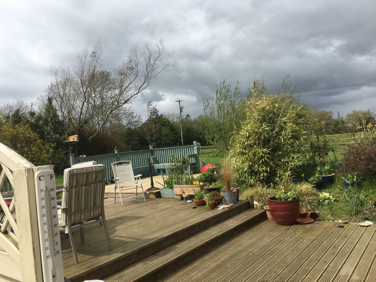 Tobernaglough Wexford Pet Friendly Country B&B Ramsgrange Extérieur photo