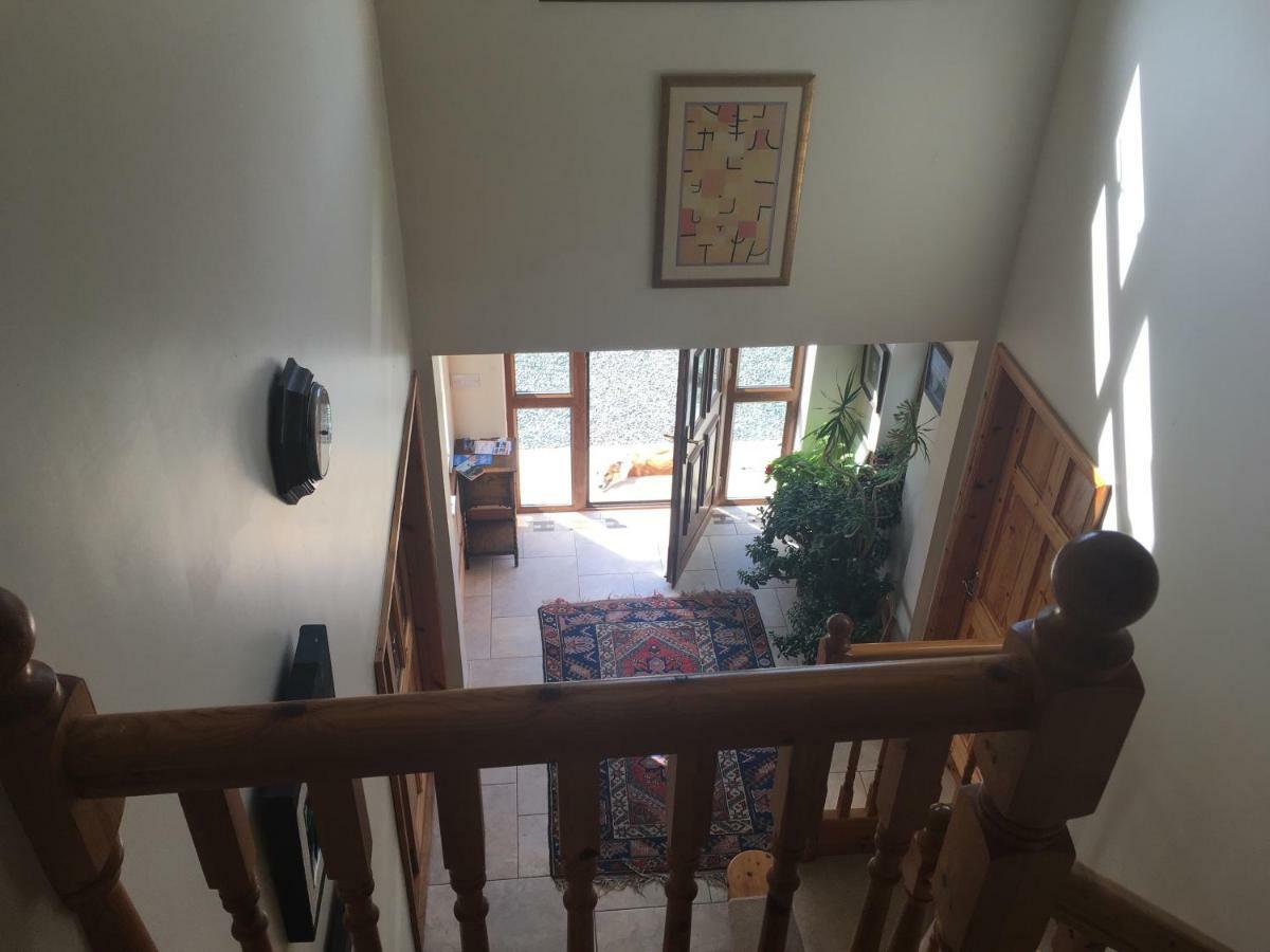 Tobernaglough Wexford Pet Friendly Country B&B Ramsgrange Extérieur photo