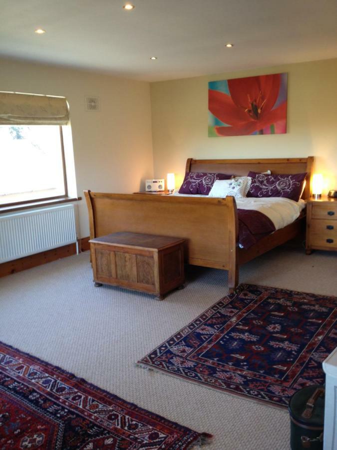 Tobernaglough Wexford Pet Friendly Country B&B Ramsgrange Extérieur photo