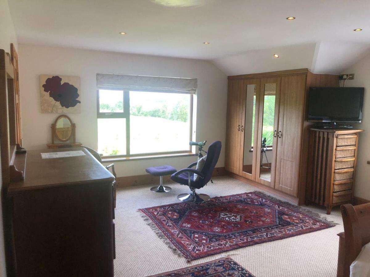 Tobernaglough Wexford Pet Friendly Country B&B Ramsgrange Extérieur photo