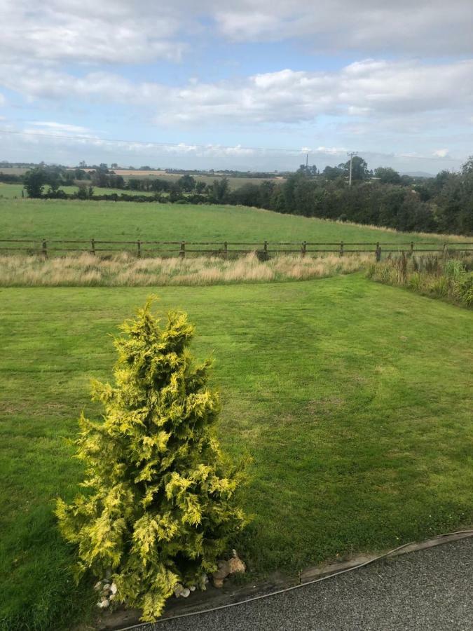 Tobernaglough Wexford Pet Friendly Country B&B Ramsgrange Extérieur photo