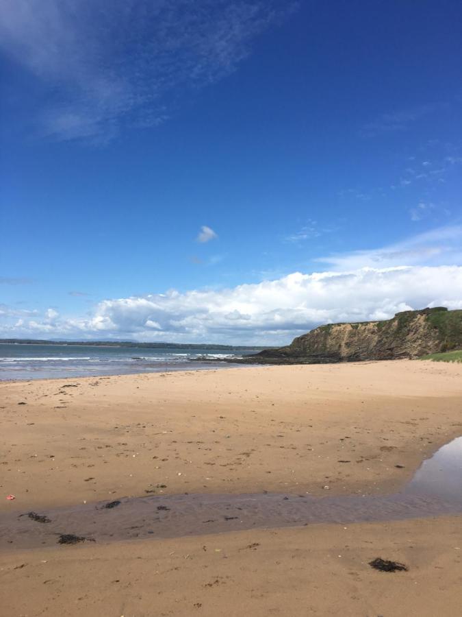 Tobernaglough Wexford Pet Friendly Country B&B Ramsgrange Extérieur photo